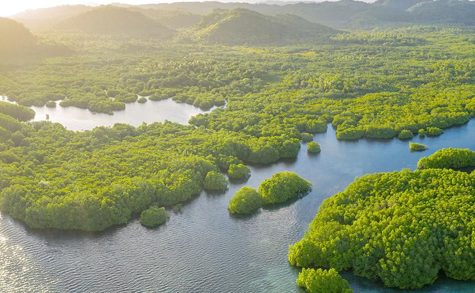 Diebold Nixdorf anuncia apoio ao projeto de monitoramento da qualidade das águas da bacia do Rio Amazonas